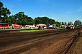 WIL_2271 - 