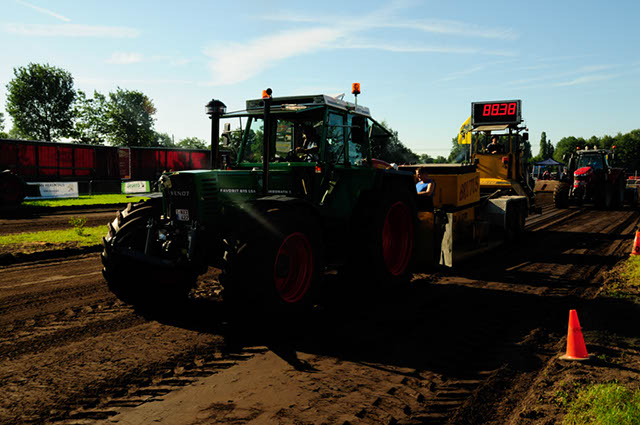 _DSC6303