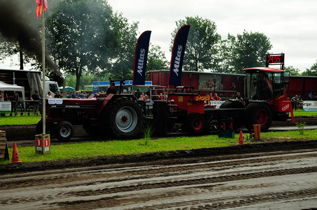 _DSC6482